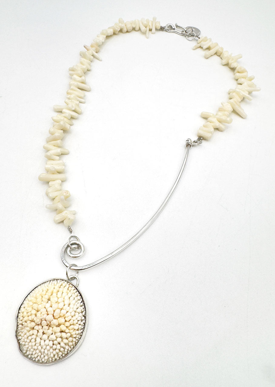 Operculum (Little Door)